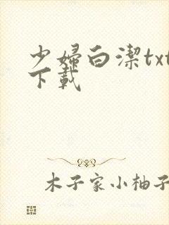 少妇白洁txt下载
