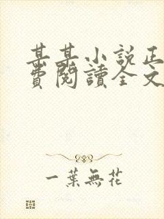 某某小说正版免费阅读全文无弹窗