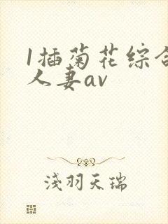 1插菊花综合网人妻av