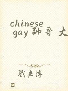 chinese gay 帅哥 大