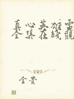 真心英雄电视剧全集在线观看免费高清