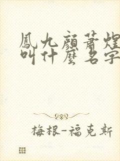 凤九颜萧煜小说叫什么名字