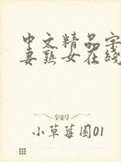 中文精品字幕人妻熟女在线