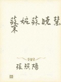 苏婉苏晓慧霍枭寒