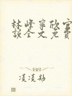 林峰宁欣官场小说全文免费阅读