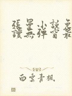 张曼小说免费阅读无弹窗最新章节