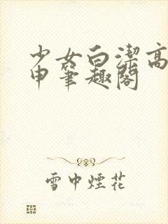 少女白洁高义王申笔趣阁