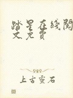 踏星在线阅读全文免费封面