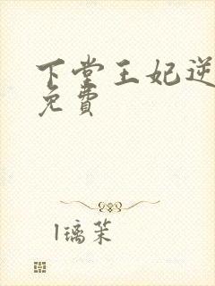 下堂王妃逆袭记免费