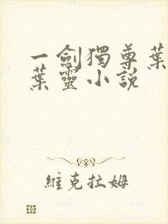 一剑独尊叶玄,叶灵小说