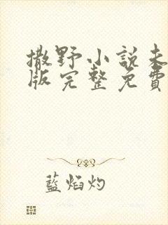 撒野小说未删减版完整免费阅读封面