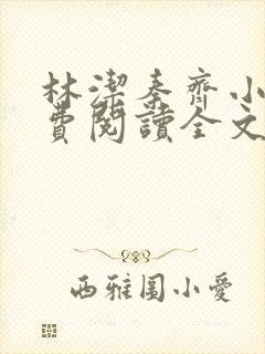 林洁秦齐小说免费阅读全文最新章节