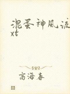 混蛋神风流史txt