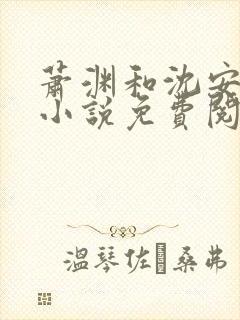 萧渊和沈安安的小说免费阅读