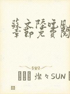 苏文陆晚风最新章节免费阅读笔趣阁