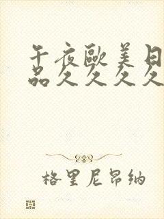 午夜欧美日韩精品久久久久久