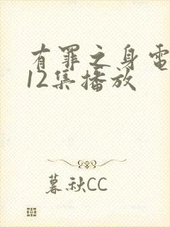 有罪之身电视剧12集播放