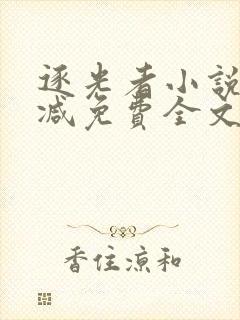 逐光者小说无删减免费全文阅读