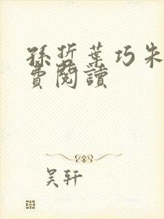 孙哲叶巧朱颜免费阅读封面