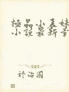 极品小表妹苏晴小说最新章节列表