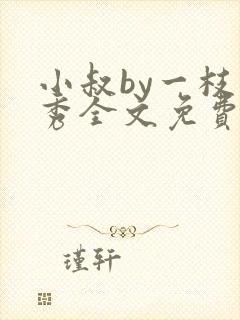 小叔by一枝独秀全文免费阅读笔趣阁最封面