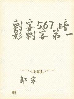 刺客567 暗影刺客第一季