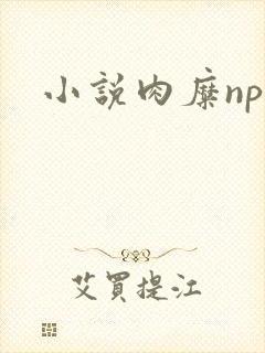 小说肉糜np封面