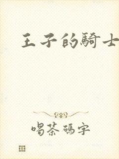 王子的骑士小说封面