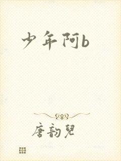 少年阿b