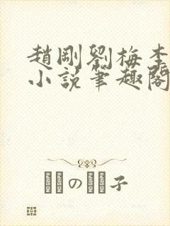 赵刚刘梅李晓雅小说笔趣阁