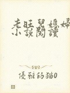 老旺儿媳妇秦雨小说阅读封面