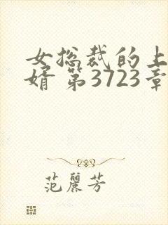 女总裁的上门女婿 第3723章