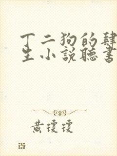 丁二狗的肆意人生小说听书