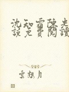 沈知霜陈光阳小说免费阅读