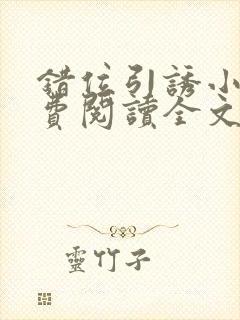 错位引诱小说免费阅读全文最新章节