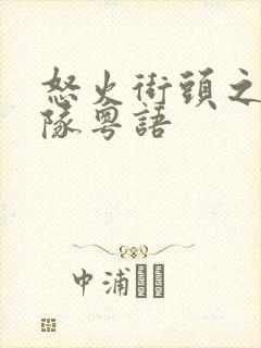 怒火街头之冲锋队粤语