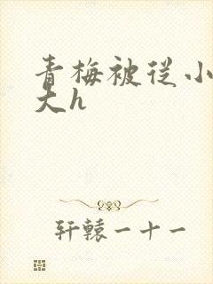 青梅被从小摸到大h