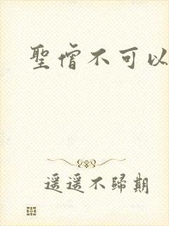 圣僧不可以封面