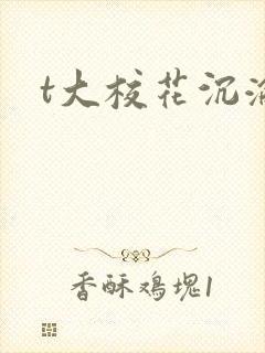 t大校花沉沦封面