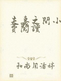 夫妻之间小说免费阅读