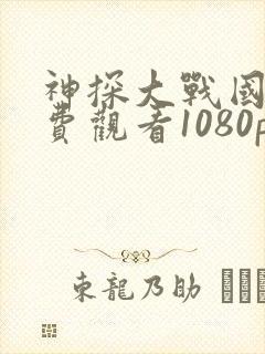 神探大战国语免费观看1080p