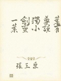 一剑独尊叶玄,叶灵小说有声小说