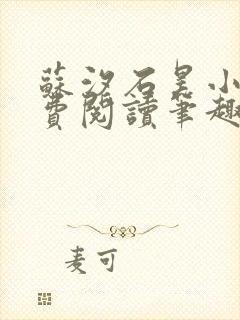 苏汐石昊小说免费阅读笔趣阁封面