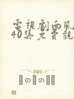 电视剧向风而行40集免费观看