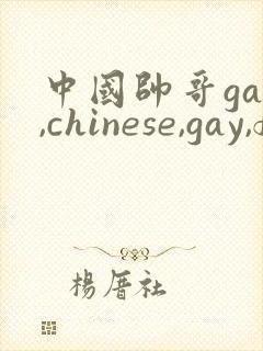 中国帅哥gay,chinese,gay,fees,gv,videos