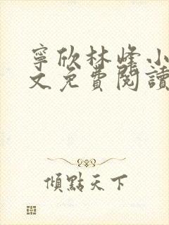 宁欣林峰小说全文免费阅读无弹窗