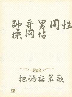 帅哥男同性恋互操网站