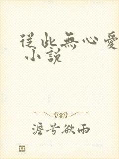 从此无心爱凉夜 小说