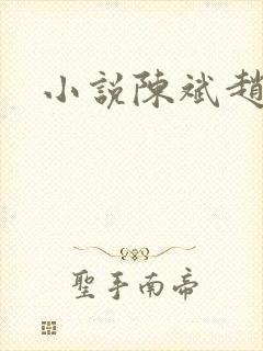 小说陈斌赵心媚