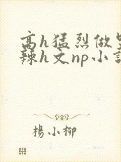 高h猛烈做哭高辣h文np小说封面